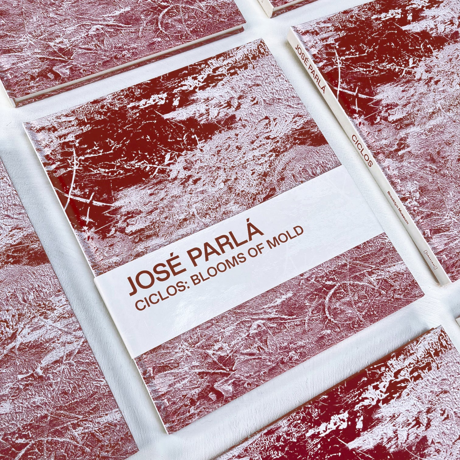 Ciclos: Blooms of Mold - PARLA STUDIOS, LLC.